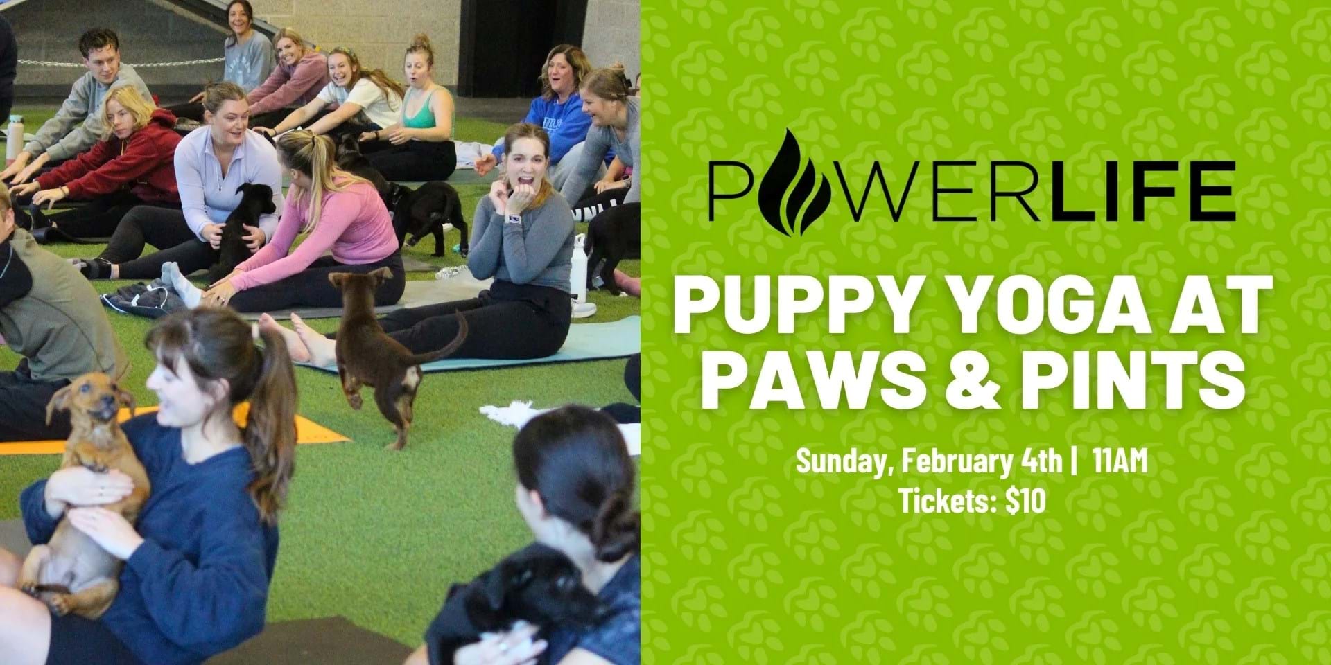 Puppy Yoga